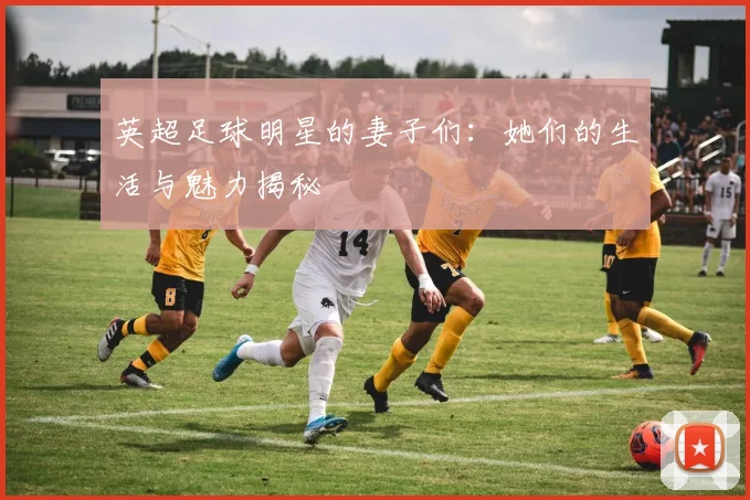 英超足球明星的妻子们：她们的生活与魅力揭秘
