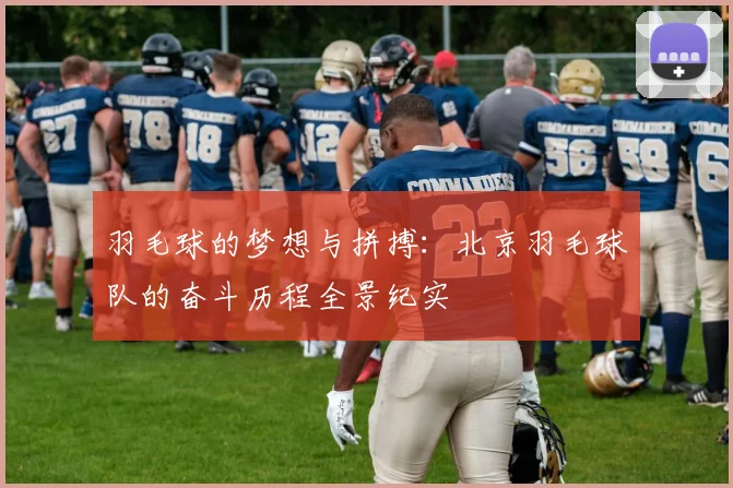 羽毛球的梦想与拼搏：北京羽毛球队的奋斗历程全景纪实