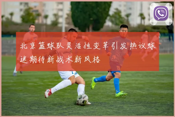 北京篮球队灵活性变革引发热议球迷期待新战术新风格