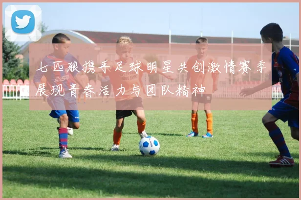 七匹狼携手足球明星共创激情赛季展现青春活力与团队精神