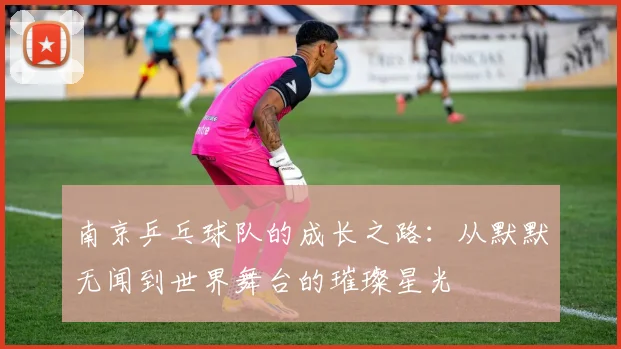 南京乒乓球队的成长之路：从默默无闻到世界舞台的璀璨星光