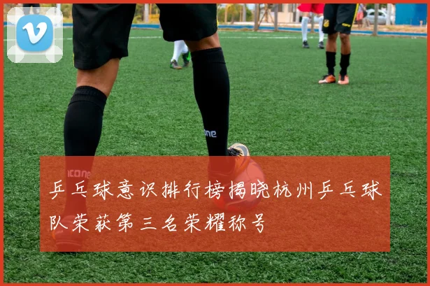 乒乓球意识排行榜揭晓杭州乒乓球队荣获第三名荣耀称号