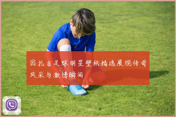 因扎吉足球明星壁纸精选展现传奇风采与激情瞬间