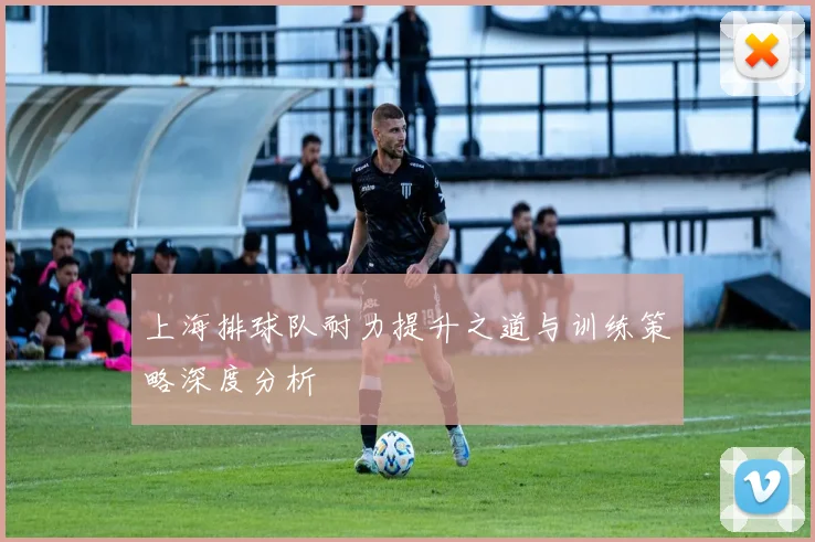 上海排球队耐力提升之道与训练策略深度分析