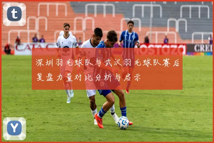 深圳羽毛球队与武汉羽毛球队赛后复盘力量对比分析与启示