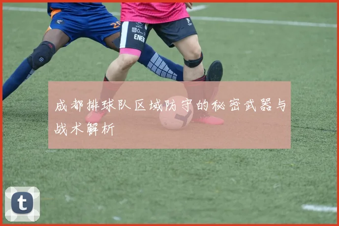 成都排球队区域防守的秘密武器与战术解析