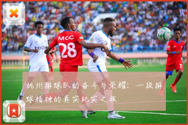 杭州排球队的奋斗与荣耀：一段排球精神的真实纪实之旅