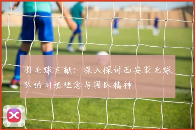 羽毛球巨献：深入探讨西安羽毛球队的训练理念与团队精神